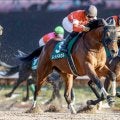 芝ダート両路線で一線級の産駒を輩出 ロードカナロア産駒のJRAダート重賞初制覇となった21年根岸S