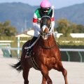 【注目馬動向】重賞３勝馬セラフィックコールが川崎へ移籍　２３年にデビュー５連勝でみやこＳ制覇