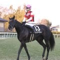 【シルクロードＳ】Ｇ１馬ウインカーネリアンの全妹ウインアイオライトが京都へ出発　矢嶋調教師「血統的に遅咲き」