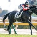 【きさらぎ賞想定馬・騎手】エムズビギン、ショウナンガルフなど11頭