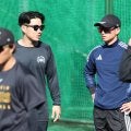 【阪神】糸原健斗が柵越え２本「しっかり動けました」若手とのキャンプに「僕もはつらつと」