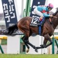 【今日の注目ポイント】開幕週東京の白富士Sでウィクトルウェルスが5連勝を狙う