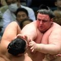 【平成の名力士列伝：碧山】仲間に支えられ春日野部屋の伝統を最後まで守り抜いたブルガリア出身の大型力士