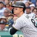 契約未更改のまま自費キャンプに突入か　阪神主砲、佐藤輝明の“現在地“にネット注目「4番の自覚や責任は？」「浮いてしまわないか、マジに心配」