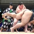 旭富士が優勝 照ノ富士引退相撲