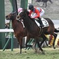 【京都5R新馬戦結果】キタサンブラック産駒バリオスが人気に応えて差し切りV