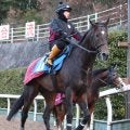 土曜東京競馬場の注目激走馬…東京１１Ｒ白富士ステークス（Ｌ）
