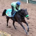 【根岸Ｓ・特選有力馬チェック】６歳で休み明け…エンペラーワケアは買うべき？