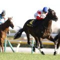 【白富士S】良血ダノンシーマがOP初勝利…4連勝中ウィクトルウェルスは3着