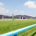 【小倉競馬・１日の馬場】３連単５８００万超が出た芝は差し馬の活躍目立つが･･･