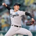 阪神・茨木　菊池トレーナーがブレーク予告　大輪咲かせる【春季キャンプ・デイリートラ番イチ推し選手紹介】