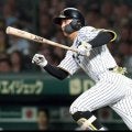 阪神・熊谷　菊池塾で黙々磨き　正遊撃手奪取へ“打って出る”【春季キャンプ・デイリートラ番イチ推し選手紹介】