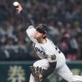 阪神・工藤　フォーム改善で制球難にメド　メンタル魅力【春季キャンプ・デイリートラ番イチ推し選手紹介】