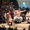照ノ富士　涙なし大銀杏に別れ　愛息、両横綱と最後の土俵入り　誓い新たに「自分に負けない、協会の看板になる力士を育てたい」