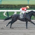【根岸S予想】上がり最速馬が良績残す一戦 フェブラリーSへの最終関門を制すのは