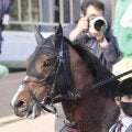 馬トクスタッフが選ぶ日曜の買うべき３頭　逃げ馬不在ならペースメーク力が武器になる東京７Ｒ