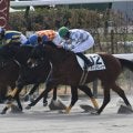 【京都4R新馬戦結果】ナダル産駒ティエラレイナが接戦を制す