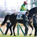 【東京５Ｒ・３歳新馬】上がり最速タイ３３秒５繰り出すも１番人気サトノフレイは３着　戸崎圭太騎手「能力は感じました」
