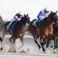 【根岸S】横山和「次も見据えて攻める競馬をした」ロードフォンスが重賞2勝目