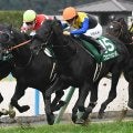 東京新聞杯ときさらぎ賞の2重賞 WIN5はキャリーオーバー/今週の競馬界の見どころ
