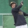 「ちょっと見てみたいな」球界OBが阪神キャンプで注目株にあげた24歳右のロマン砲　レフト枠にも「よかったら上がってくる可能性もある」野手転向で初の春季キャンプ