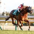 東京新聞杯勝ち時計ランキング 1位はのちのスプリンターズS覇者が見せた逃走劇