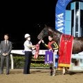 【川崎・報知オールスターC枠順】半姉は三冠牝馬ジェンティルドンナ 良血馬スレイマンは7枠10番 