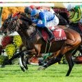 【東京新聞杯想定騎手】オフトレイルは菅原明良騎手、ブエナオンダは横山武史騎手