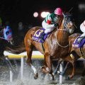 【先週のJRA抹消馬】ダート重賞3勝のセラフィックコール、22年フローラS覇者エリカヴィータなど