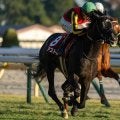 【きさらぎ賞想定騎手】ゾロアストロはT.ハマーハンセン騎手、エムズビギンは川田将雅騎手