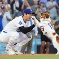 大谷翔平の愛犬デコピンが絵本に…MLB公式が紹介「愛犬の力を少し借りて新たな試みに出る」