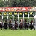 【ヤマタケが見た】重賞２勝馬が不在　現３歳は傑出馬不在の“異常事態”　共同通信杯ときさらぎ賞から一躍主役も