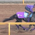 【注目馬動向】兄姉にＧ１馬３頭の良血馬　グランヴィノスは金鯱賞での復帰を視野