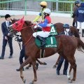 【注目馬動向】フェアリーＳ３着のレオアジャイルは自己条件で１８００メートルへ距離延長