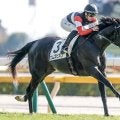 【きさらぎ賞】セレクト5.9億円のエムズビギン 史上最高額のJRA重賞勝ち馬となるか