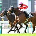 【注目馬動向・３歳】萌黄賞で２勝目のルージュサウダージは報知杯ＦＲで連勝狙う