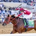 世界最高賞金レース、サウジカップの馬券発売…フォーエバーヤングら参戦