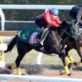 【クイーンＣ１週前】新馬圧勝のニシノサリーナがさらに良化　橋口調教師「左回りが得意な兄に似ています」