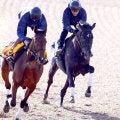 【きさらぎ賞】ゾロアストロは馬なりで３馬身先着　宮田調教師「賞金加算して皐月賞、ダービーへ」