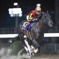 【川崎・報知オールスターC結果】スレイマンが逃げ切って重賞2勝目を挙げる
