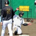 阪神・糸井嘉男ＳＡ　佐藤輝は侍２番　１番・大谷で日米ＭＶＰコンビ「もう、それで２点」　「世界のサトテル」席巻期待