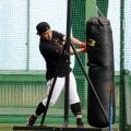 【巨人】浅野翔吾、湯浅大が春季キャンプの1軍練習に参加　第2クール初日