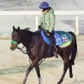 ２４年武蔵野Ｓを制したエンペラーワケアが骨折　休養期間は未定