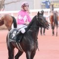【ＵＡＥダービー】ワンダーディーンが招待を受諾　日本馬５連覇を目指す