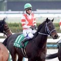 【注目馬動向】シルクロードＳ５着のヤブサメは京王杯ＳＣへ　佐賀記念除外のムルソーは坂井瑠星騎手で仁川Ｓへ
