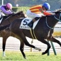 【春菜賞】名牝ジェンティルドンナの初孫 カフェラバーがデビュー2連勝なるか