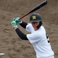 【阪神】山田脩也　休日返上で軽めのトレーニング「ちょっと体動かす感じできました」