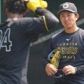 阪神通訳、WBCブラジル代表に選出　米報道…正遊撃手として高まる期待