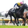 【東京新聞杯枠順確定】ブエナオンダは8枠16番、ウォーターリヒトは6枠12番
