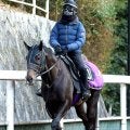 【きさらぎ賞】超高額馬エムズビギンは２枠２番　コントレイル産駒重賞初Ｖを狙うゴーイントゥスカイは４枠４番に　